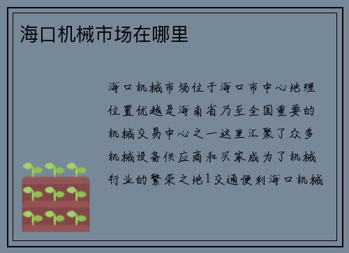 海口机械市场在哪里